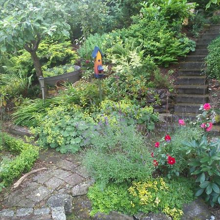 شتوكاخ Bed & Breakfast Bodensee Mit Herz المظهر الخارجي الصورة