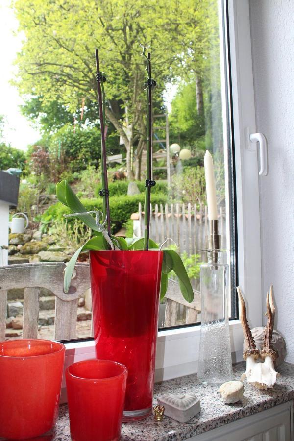شتوكاخ Bed & Breakfast Bodensee Mit Herz المظهر الخارجي الصورة